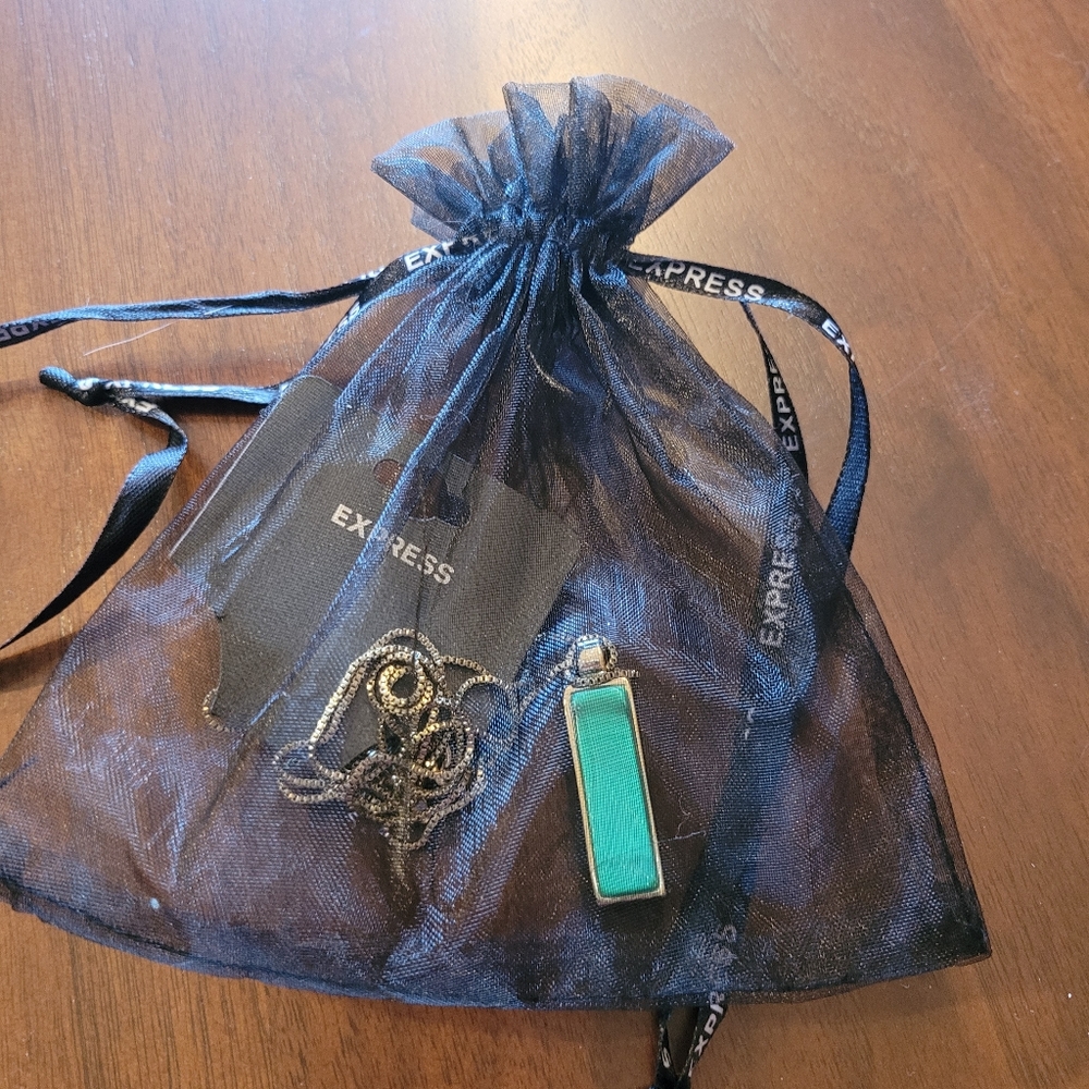 Express NWT Reversible Gold Colored Necklace